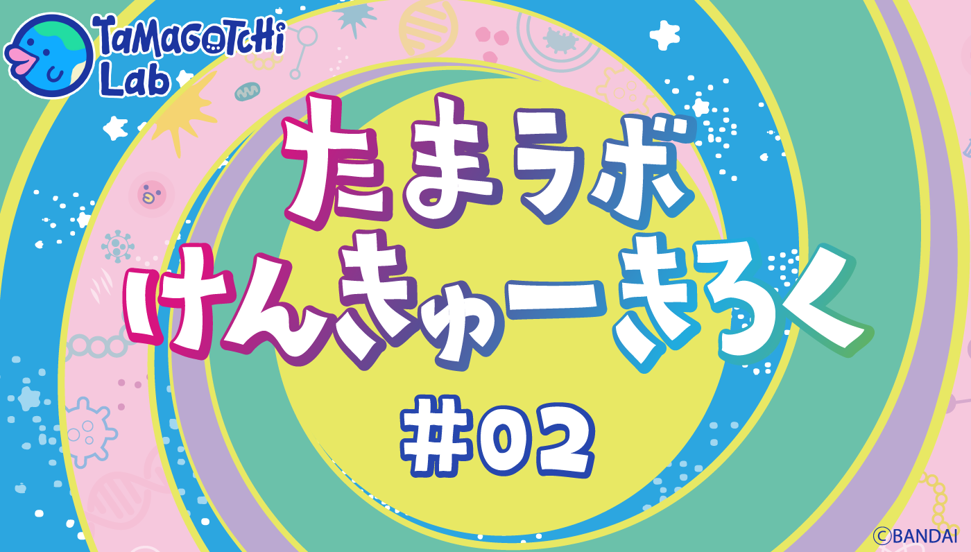 【たまラボ研究記録】#2 Paradiseまわりの商品&ラボたまの情報を紹介するよー!